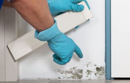 Come-togliere-la-muffa-dal-bagno
