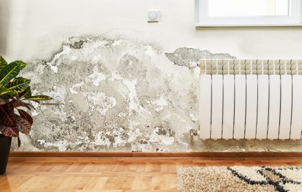 Umidità in casa rimedi e consigli