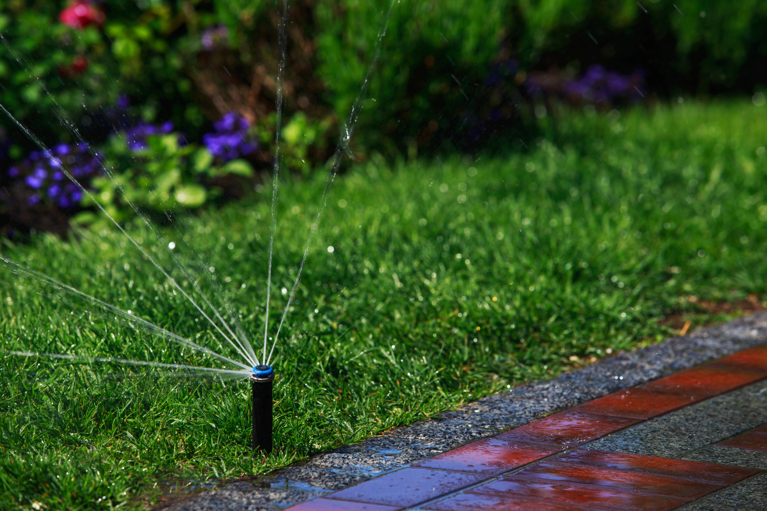 Quanto costa un impianto di irrigazione automatico interrato per