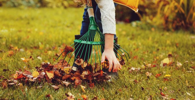 Come pulire le foglie dal giardino