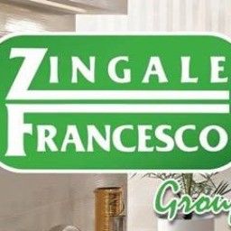 Zingale francesco group s.r.l.