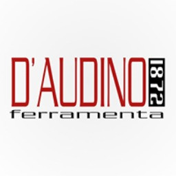 D'AUDINO & C. SAS DI D'AUDINO ROBERTO