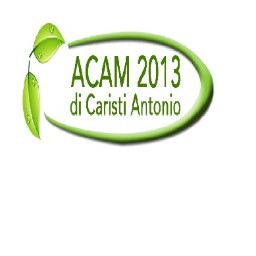 Acam2013 di Caristi Antonio