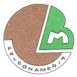 FALEGNAMERIA BRESCIANI SRL