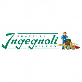 INGEGNOLI FRATELLI SPA